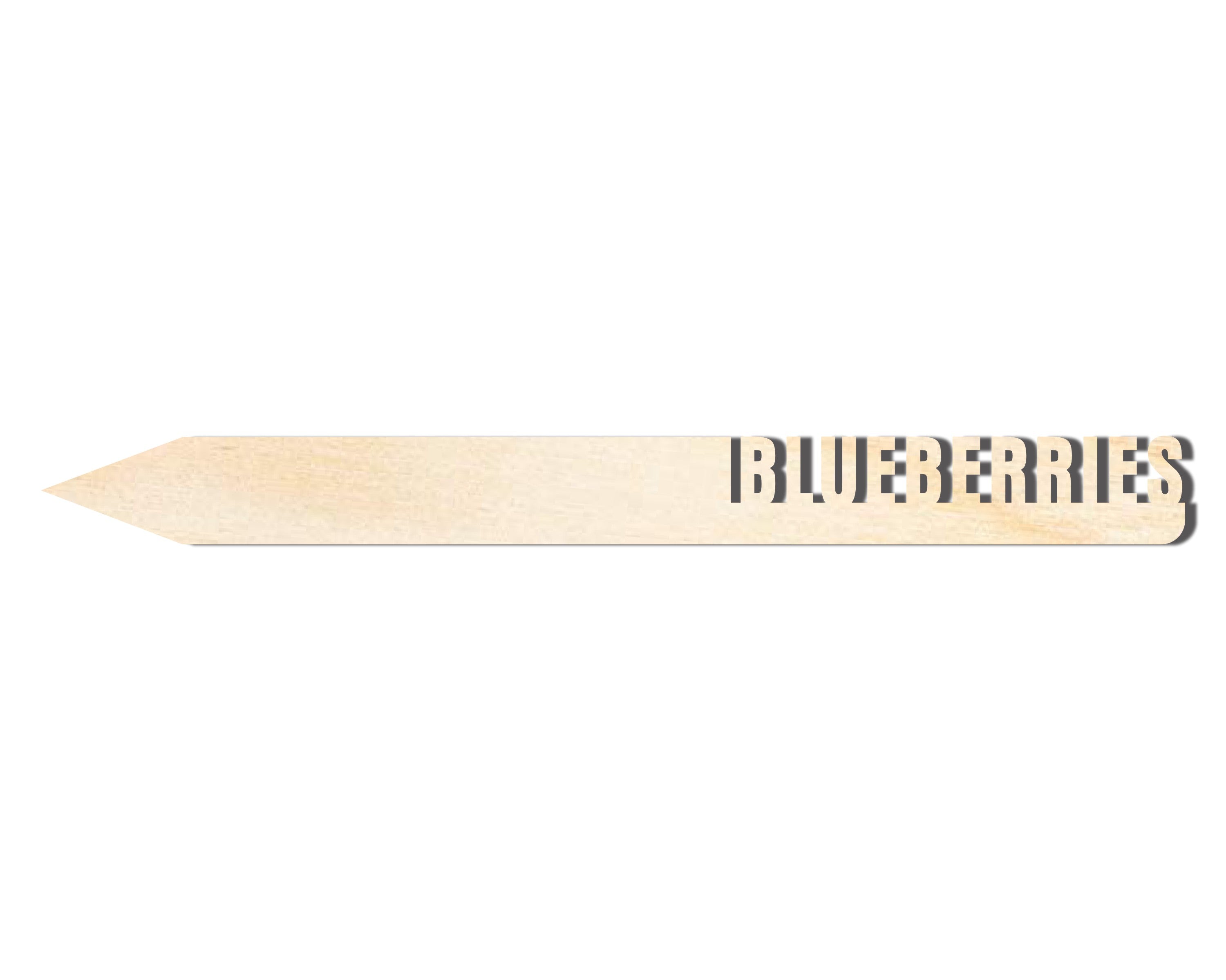 Unfinished Wood Blueberries Garden Stake | DIY Craft Cutout | up to 24" DIY